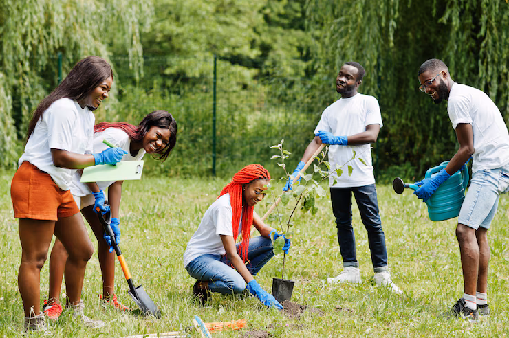 Volunteers planting trees during a reforestation event