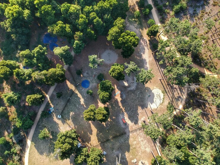 EcoVoice ecosystem restoration project in progress